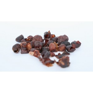 Cascara - Costa Rica Hacienda Las Lajas (100g)